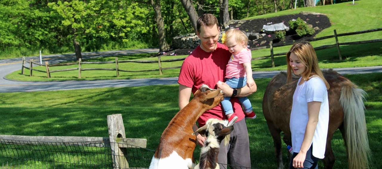 Rocky Acre Farm Bed & Breakfast Mount Joy Екстериор снимка