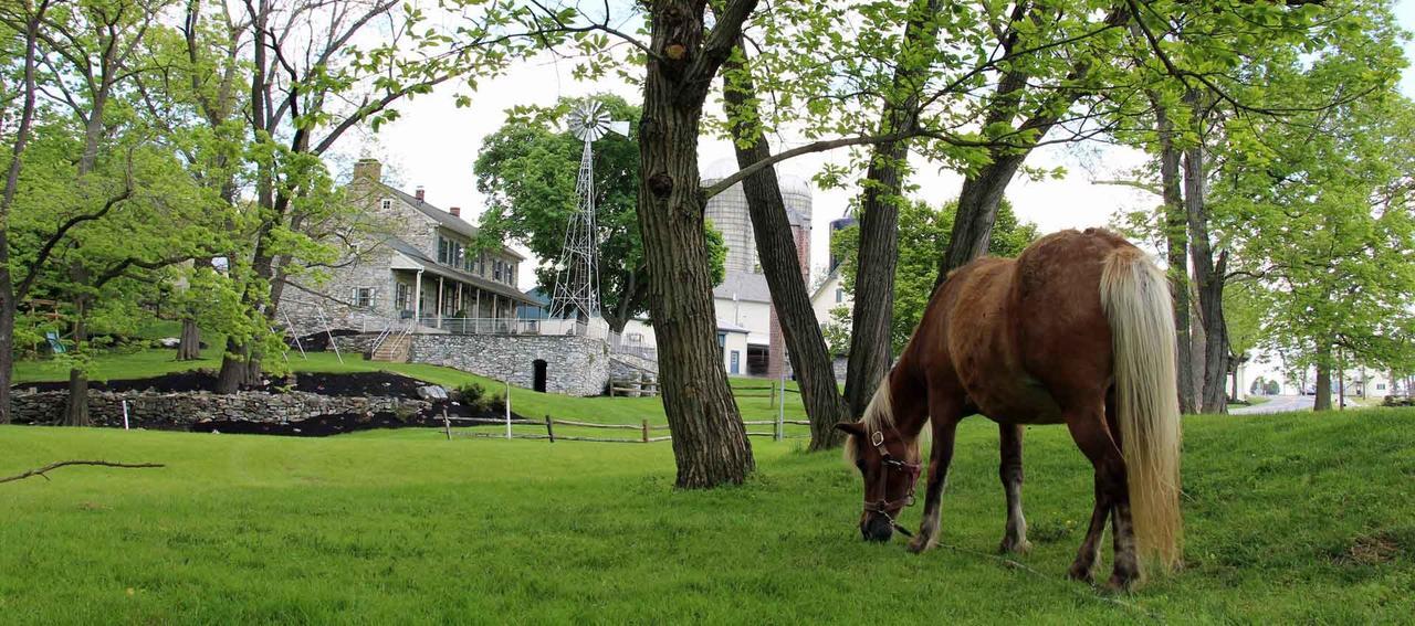 Rocky Acre Farm Bed & Breakfast Mount Joy Екстериор снимка